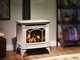 Regency wood burning stove insert, Sudbury Hearth & Home, Sudbury, ON